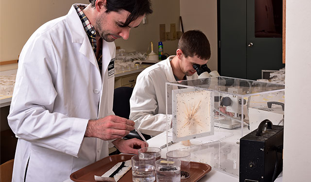 Two male SC Johnson entomologists working in their lab.