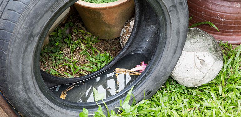 A used tire sitting in grass with stagnant water sitting in the well.
