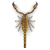 Scorpion illustration