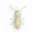 Termite illustration
