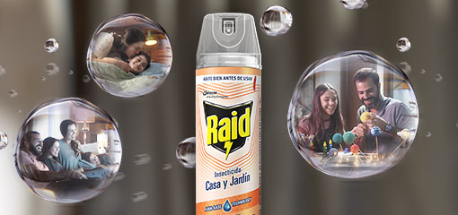 Image of Raid® Home and Garden product